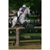 little_downham_horse_eventing_logo