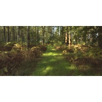 Oxburgh Hall and gardens - Tuesday, 16 December 2025 - Endeavour 3066/FEN