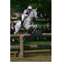 little_downham_horse_eventing_logo