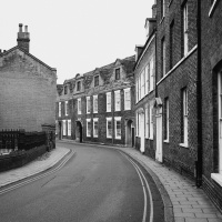 pexels-mikebirdy-15622622