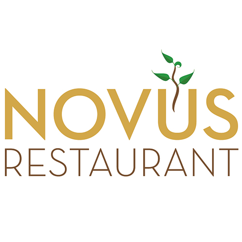 22 Novus logo website
