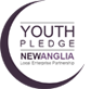 youth pledge